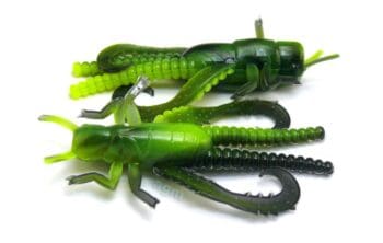 Big Bite 1.5in Hopper Bug Black/Opaque Chartreuse 8pcs