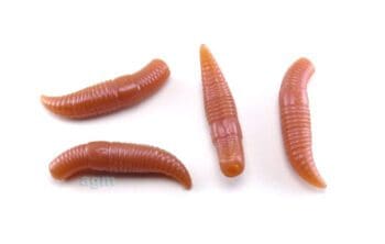 Crazy Fish 1.2in MF Baby Worm 52 Somatic 12pcs