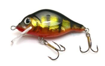 Hester 2in Carp Floater Holo Perch