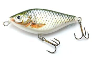 Hester Jerk Slider Sinking 24g Roach